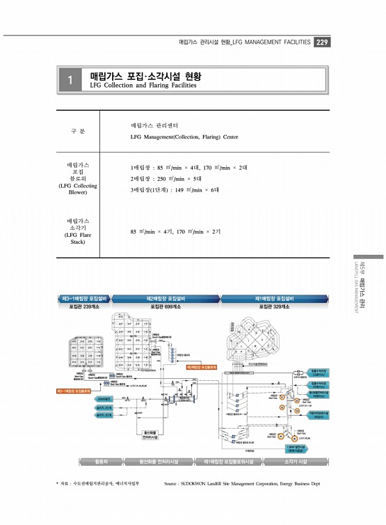 241페이지